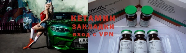 индика Арсеньев