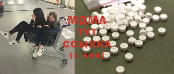 индика Арсеньев