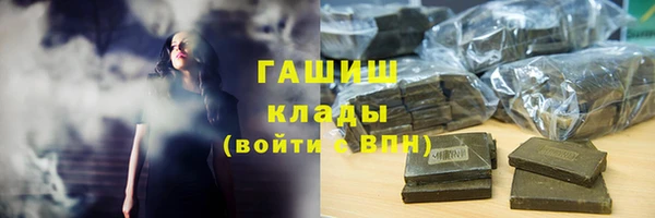 индика Арсеньев