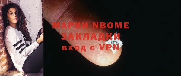 индика Арсеньев