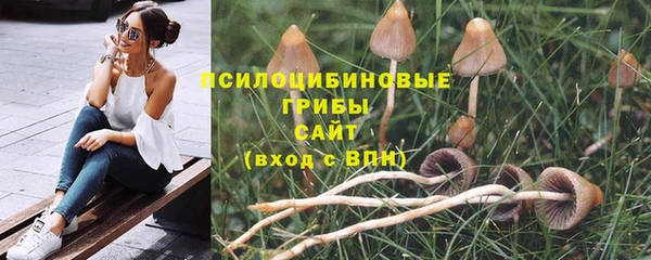 гашик Армянск