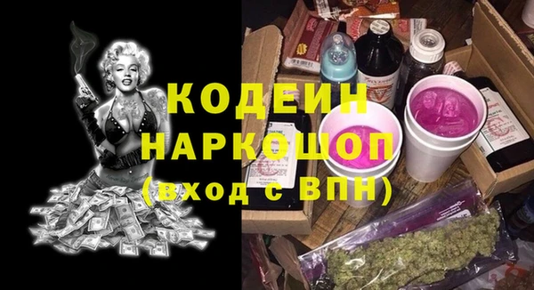 индика Арсеньев