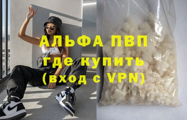 индика Арсеньев