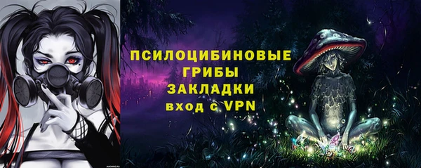 гашик Армянск