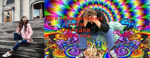индика Арсеньев