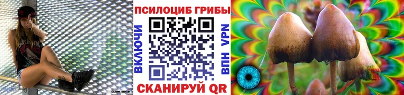 Галлюциногенные грибы Psilocybine cubensis  Мегион 